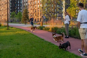 ЖК Holland park (Холланд парк)