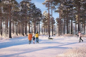 ЖК Riga Hills